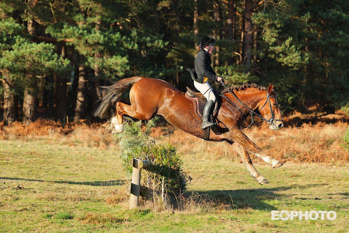 Curated visual reference: Equestrian Condos With Integrated Equestrian Services Reference: Kingsview Equestrian Professional Equestrian Services In East Sussex